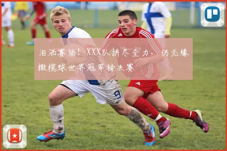 泪洒赛场！XXX队拼尽全力，仍无缘橄榄球世界冠军榜决赛